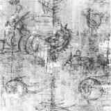 Papiro Artemidoro 05 - Detalle de algunos animales